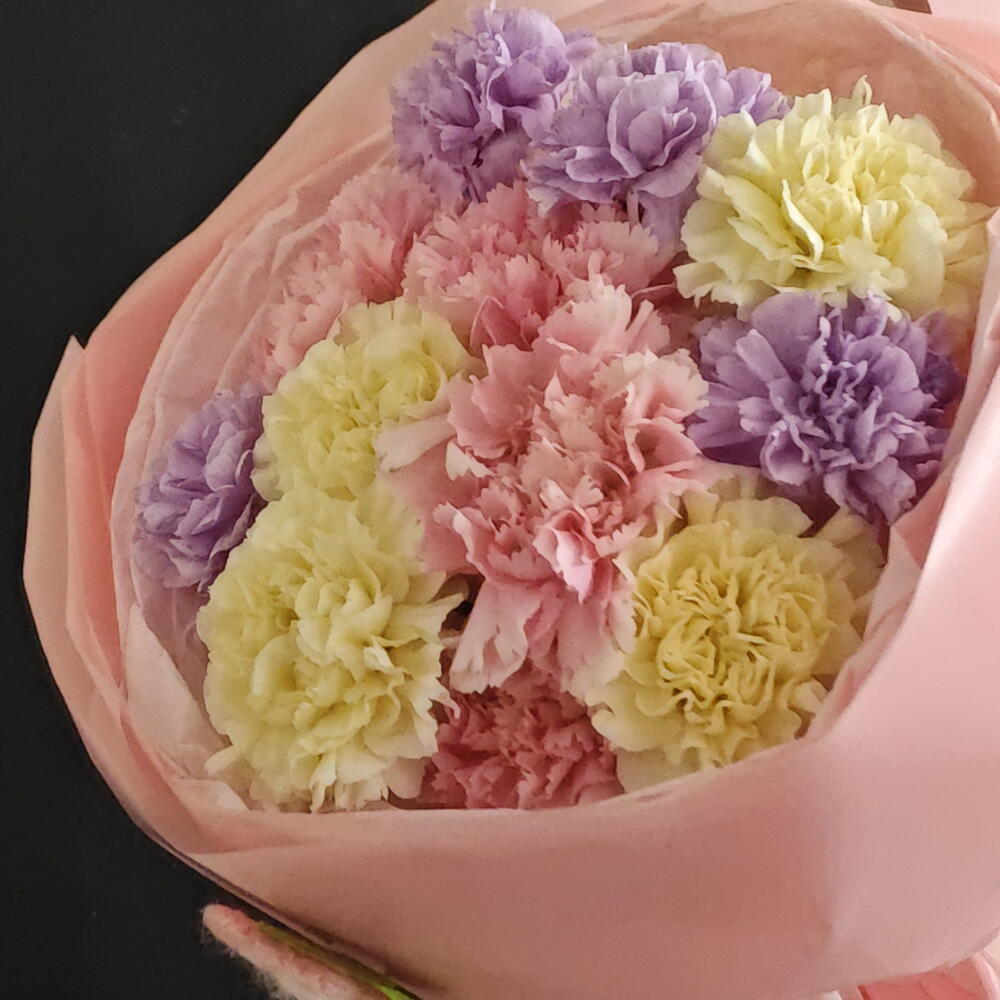 Диантусы разноцветные 💜️💛💚🩵