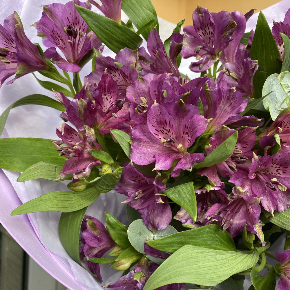 Букет «ночное небо» из альтромерии PURPLE