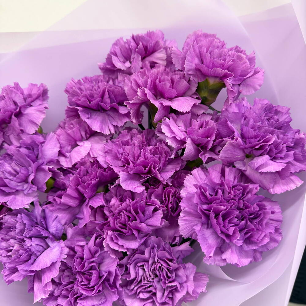 Сиреневые гвоздики 💜
