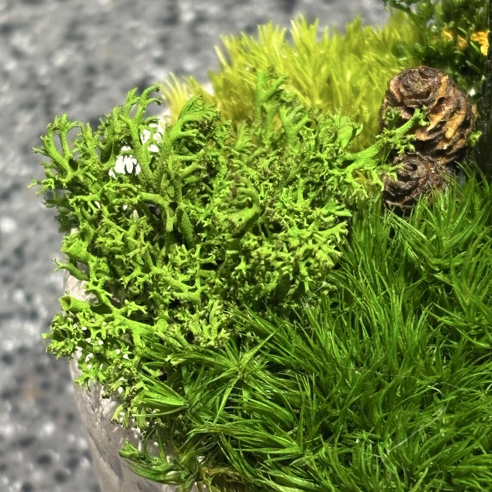 Кусамоно в кашпо🌱