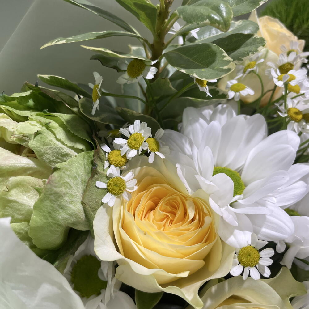 Зеленый шик