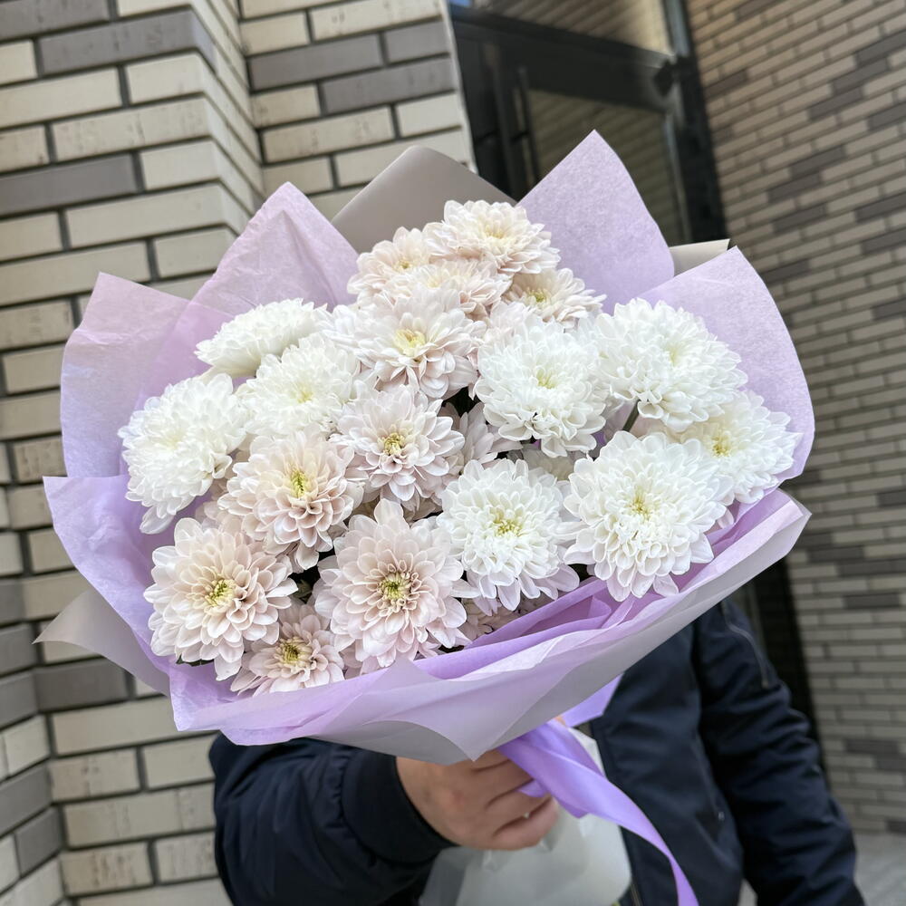 Микс хризантем 5