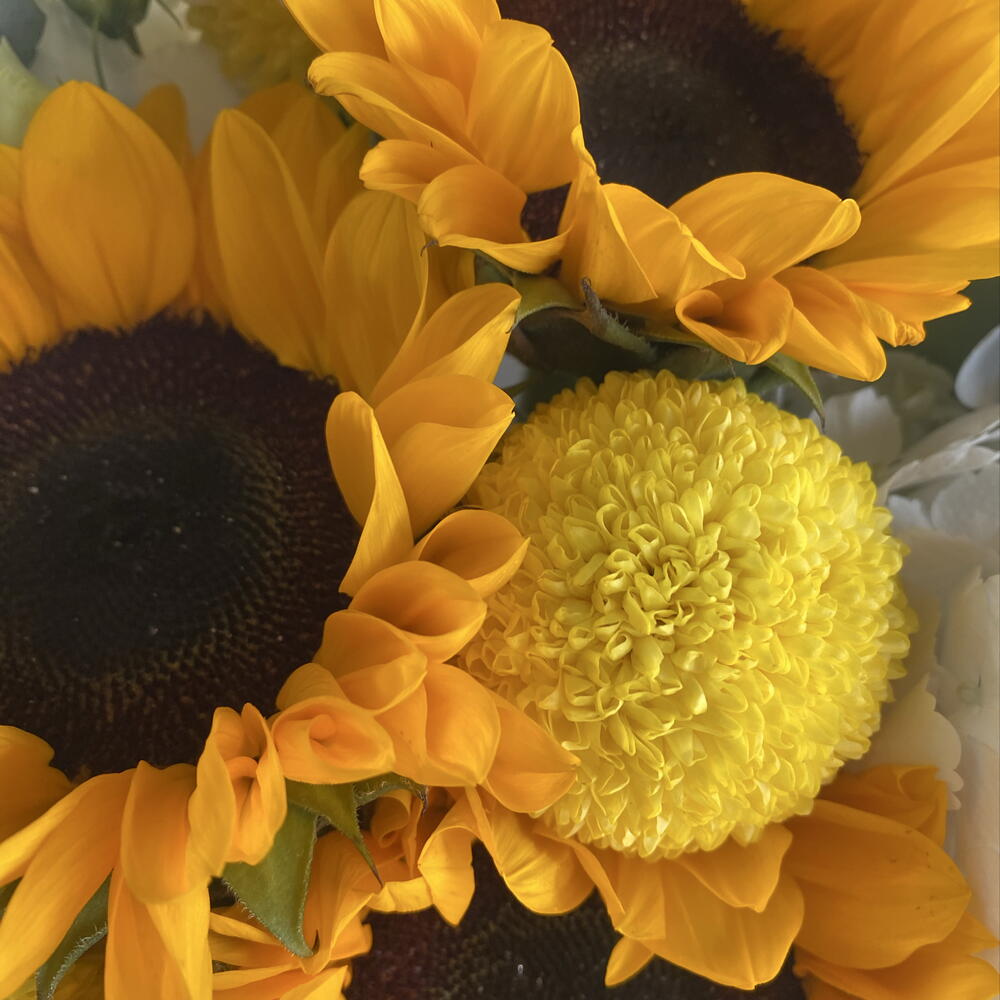 🤍 Солнце в облаках 4. 🌻 Золотое настроени