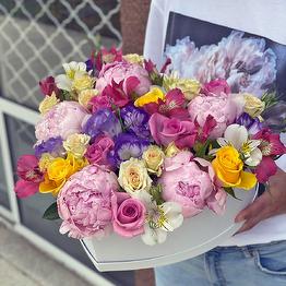 Lion Flowers