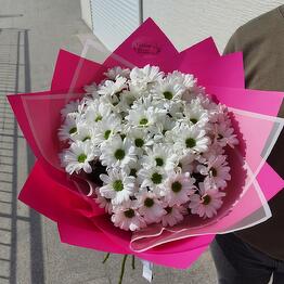 FloVer 