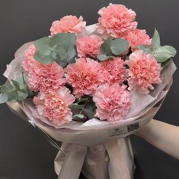 Flowers titan