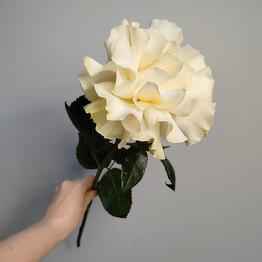 Florastation