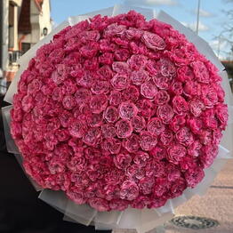 Florist