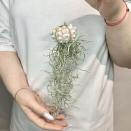 Jules Flower Atelier