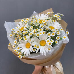 Ромашки в букете
