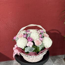 maii flowers