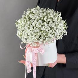 Malina Flowers