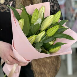 Iris Blumen