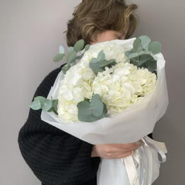 BFLOR
