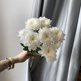 Buketnaya BigBouquet43 