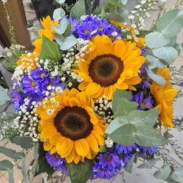 Lotus Flowers and Gifts
