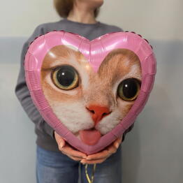 Фрезия