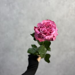 A. Flowers