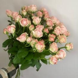 Bloom Bouquet