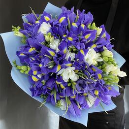 Lina Flowers