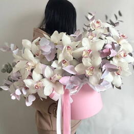 Flowa 