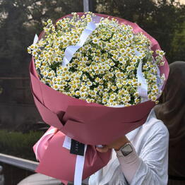 Maelle flowers