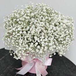 Vesna Flowers