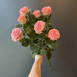 Flowers titan