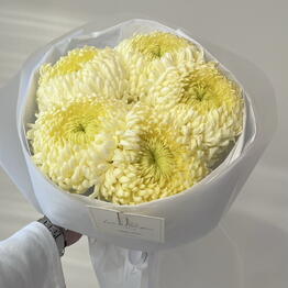 Buketnaya Lemon Pompon