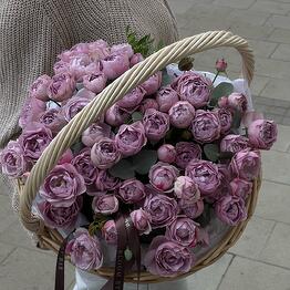 Bloom.by.bar