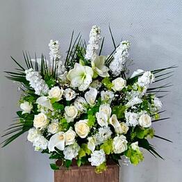 Flower_feya