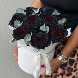 Red Roses 