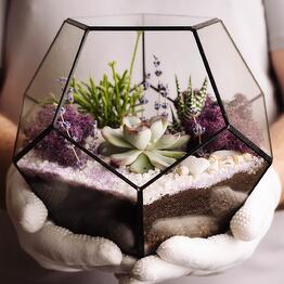 Florarium Lavanda