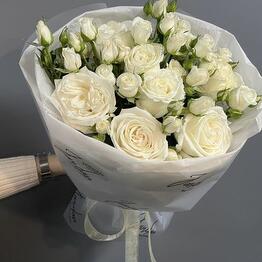 Jardan 