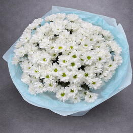Topflowers.by