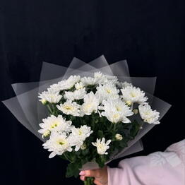 флора Вайб