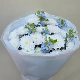 Алекс Де Флёр
