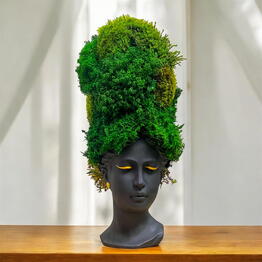  MossLaB