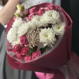 Samflowers