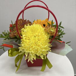 Bambini Flowers