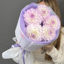 IFLORA x Flowers