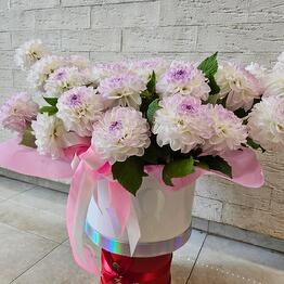 Garden Rose (Moskva)