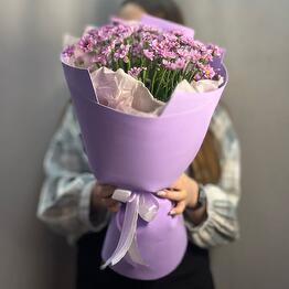 Verbena Flowers
