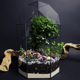 Flolefor