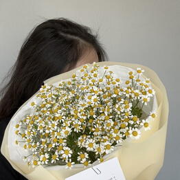 Pro Flowers