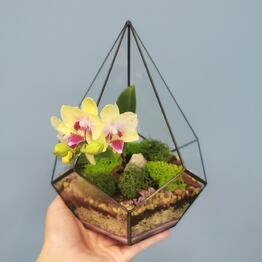 Flora-Glass