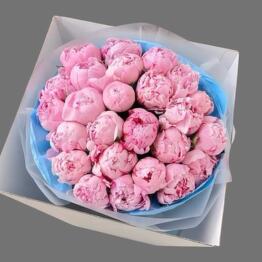Versal’ flowers