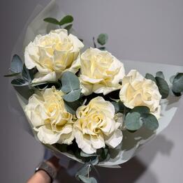 SANFLOWERS x Zilart