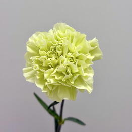 Edelda Flowers