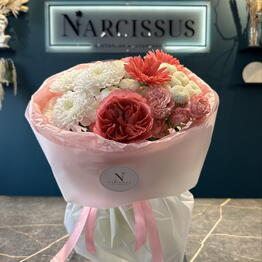 NARCISSUS